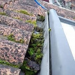 limpieza canalones coruña